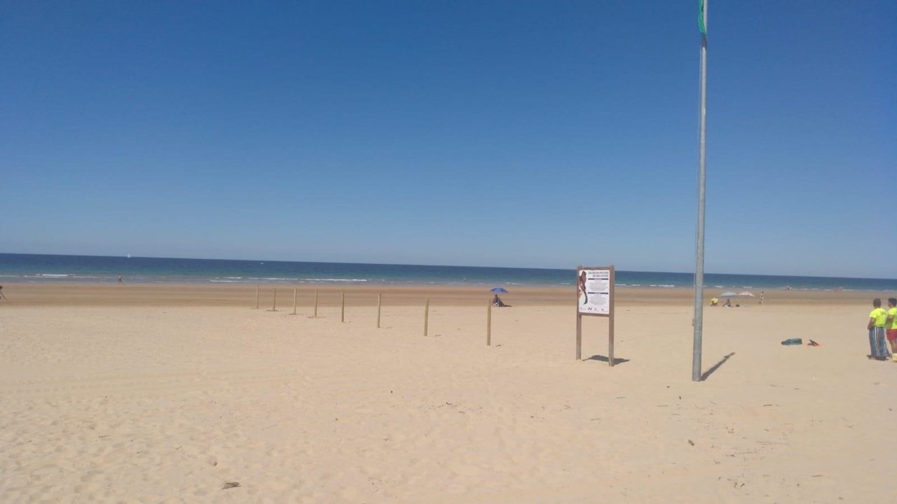Zona habilitada para perros en una playa de Noja