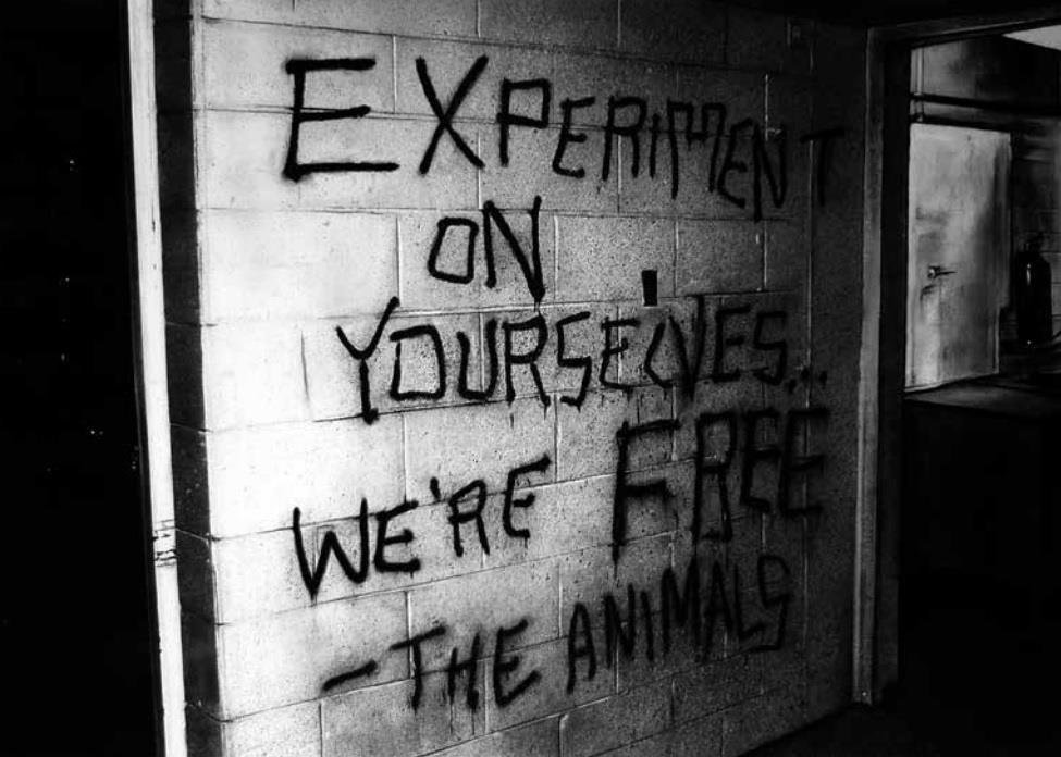 ‘EXPERIMENT ON YOURSELVES… WE’RE FREE – THE ANIMALS (Not Quite A Terrorism)’  De Quique Ortiz