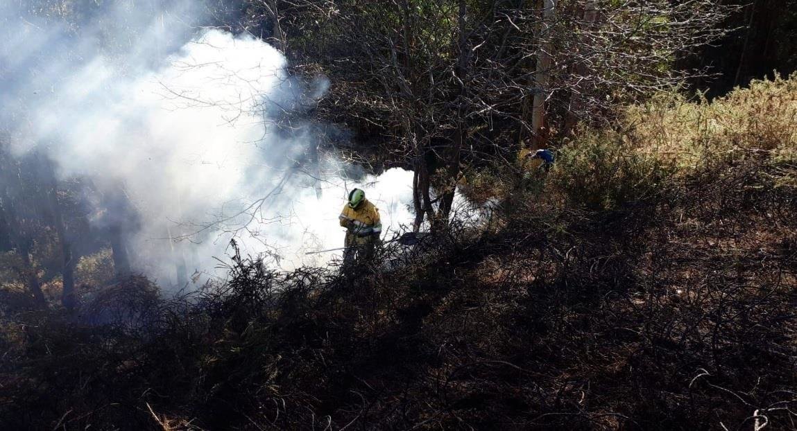 Extinción de incendio por miembros del operativo de Medio Natural