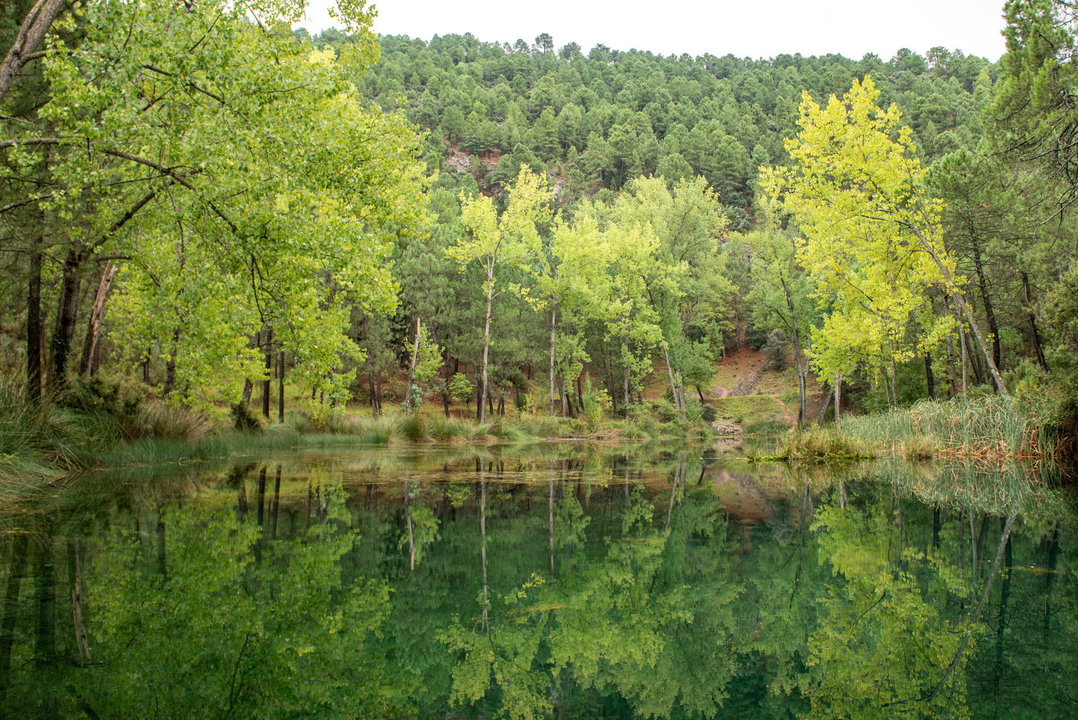Otoño en la Sierra del Segura, presa de Arroyo Frio, Albacete, Castilla La Mancha
