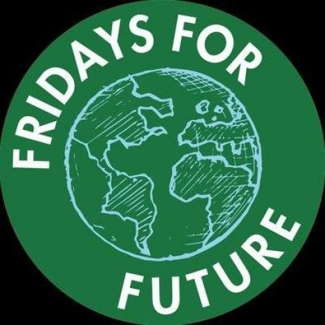 Resultado de imagen de fridays for future logo